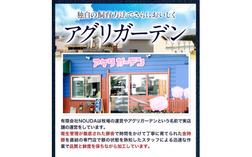 【出回らないからこそ価値がある！】豚肉 阿波 金時豚 切り落とし 大容量 2.4kg アグリガーデン 《30日以内に出荷予定(土日祝除く)》豚肉 ブランド豚 肉 小分けパック 送料無料 徳島県 上板町