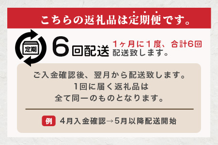 【定期便6回】ペット用 熊本加工 馬肉 切り落とし【 1kg ×6回配送 】 合計 6キロ ドッグ フード 無添加 無香料 ヘルシー 高栄養 馬刺し 冷凍 お肉専門店 熊本県 国内加工 041-050