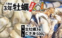 【ふるさと納税】むき身牡蠣 500g ＋ 殻付き牡蠣 Mサイズ 3個 セット 3年牡蠣 横綱牡蠣の 吉田水産 [ かき カキ 大粒 むき身 殻付き 冷蔵 個数限定 数量限定 旬 料理 鍋 牡蠣鍋 アヒージョ カキフライ 牡蠣ご飯 ギフト プレゼント 贈答品 三陸 岩手 陸前高田 ]