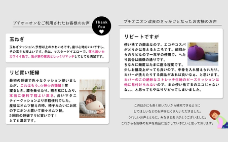 【アルググリーン】ハナロロ ビーズクッション プチ オニオン