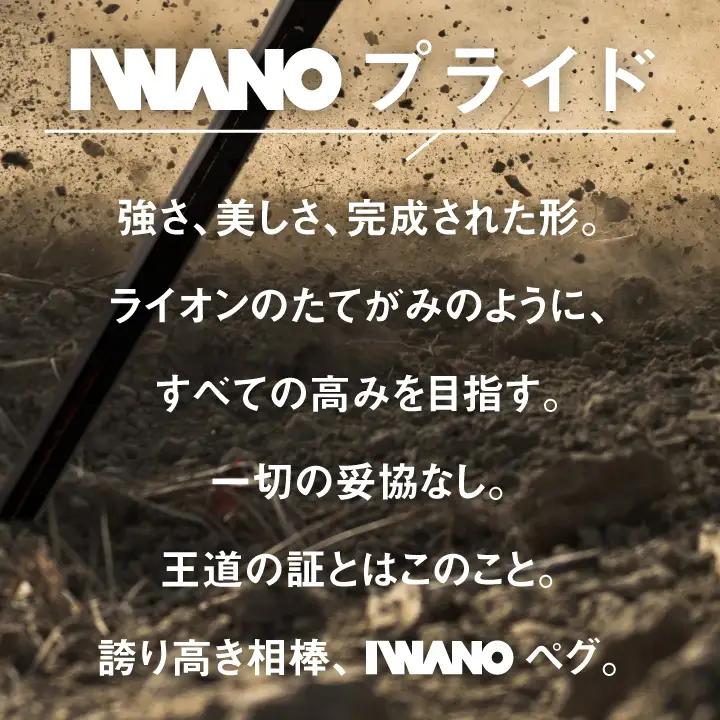 IWANOペグ16本セット《抜かない限り抜けません》テントを張るならIWANOペグ