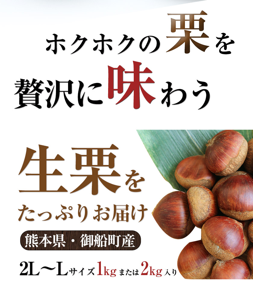 生栗 熊本県御船町産限定 約1kg または 約2kg(2L-Lサイズ)《9月上旬-9月下旬頃出荷》送料無料 期間限定 野菜 予約 スイーツ きんとん 甘露煮 渋皮煮 栗ご飯 熊本県御船町_イメージ2