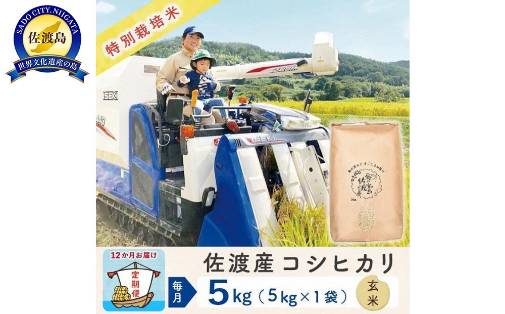【令和8年産新米 12ヶ月】佐渡島産コシヒカリ 玄米 5kg 特別栽培米195962-3343