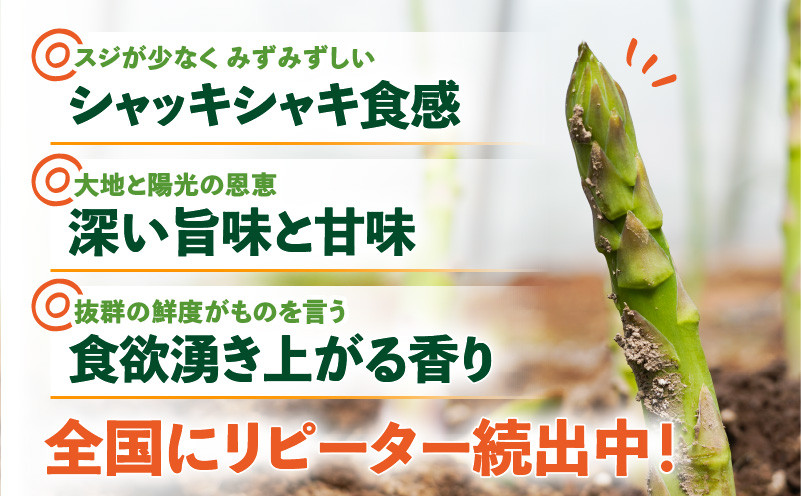ロマンス農園 ろまんスティック 2Lサイズ 2kg　T049-006