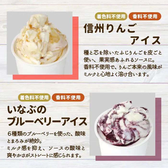 〈スピード発送〉南信州根羽村 ご当地６種のアイスクリームセット 16個 生ソフトクリームアイス バニラアイス 西尾抹茶 抹茶 りんご 紅ほっぺ いちご 苺アイス ブルーベリー フレーバー 詰め合わせ 