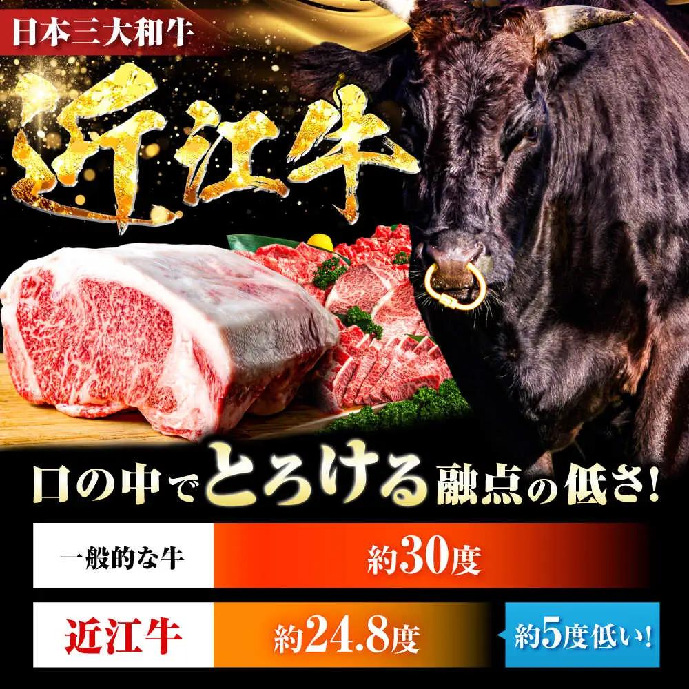 【全3回定期便】特選近江牛堪BIBE024 近江牛