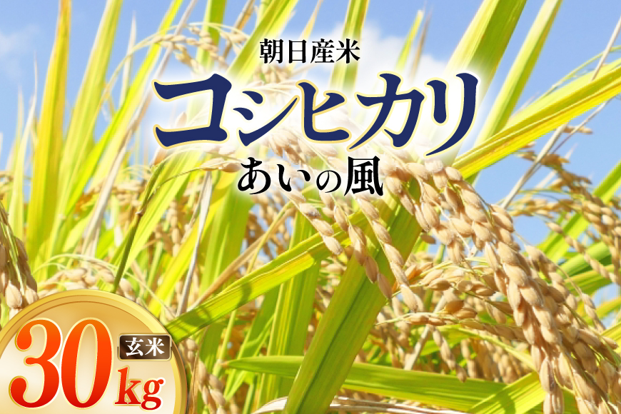 米 令和8年 コシヒカリ 玄米 30kg ×1袋 あいの風 [JAみな穂 富山県 朝日町 34310579] お米 こめ コメ こしひかり ご飯 ごはん 令和8年産 30キロ ブランド米 美味しい おいしい 富山 ふるさと納税