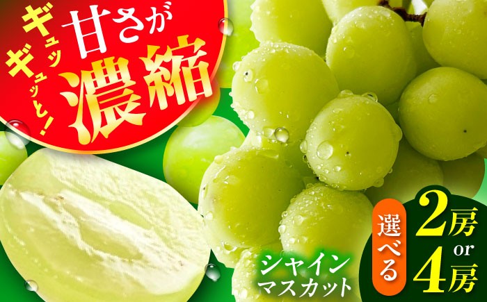 
                  【★先行予約★ 2026年8月下旬以降発送】シャインマスカット 約1.4kg 産地直送 ますかっと シャインマスカット しゃいんますかっと 果物 くだもの 種なし 皮ごと shinemuscat budou fruit ブドウ 広川町 / JAふくおか八女農産物直売所どろや [AFAB007]
                
