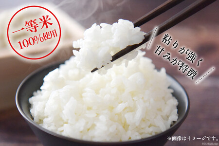 米 令和7年 ばんどり米 コシヒカリ 精米 5kg 2袋 計10kg 6回 定期便 総計60kg