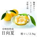 【ふるさと納税】初春の旬「日向夏」種なし 2.5kg　果物 日向夏フルーツ 贈答 ギフト 送料無料