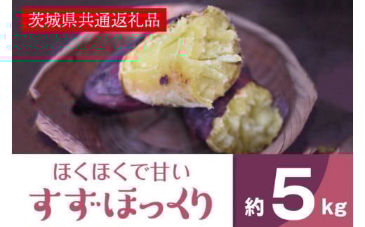 ホクホクで甘いさつまいも すずほっくり5kg（茨城県共通返礼品・行方市産）さつまいもイモ芋(AK205)