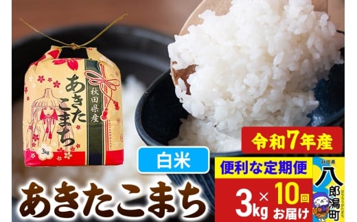 《定期便10ヶ月》【新米】 あきたこまち 3kg×1袋【白米】令和7年産 秋田県産 こまちライン