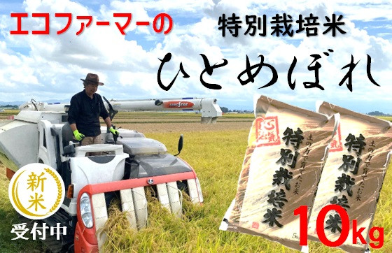 
            エコファーマーの特別栽培米ひとめぼれ10kg（令和7年産新米予約）
          