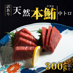【スピード発送】 訳あり 天然本まぐろ 中トロ300g以上 まぐろ