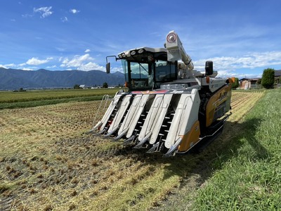 新米 令和7年産 「黒田さん家のお米」長野県松本産こしひかり 無洗米 5kg×2袋 | 米 国産 こめ 松本市 お米 ふるさと納税 信州 無洗米