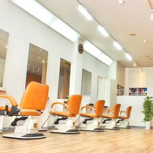 シャンプー  詰め替え 500ml  Snowdrop ( スノードロップ )オーガニック スキャルプ アイス シャンプー  シャンプー シャンプー  シャンプー シャンプー