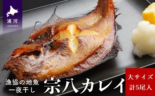 
漁協の地魚一夜干し 宗八カレイ 大サイズ(5尾入)[02-1249]
