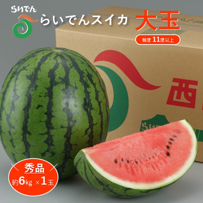 【ふるさと納税】2025年 7月 出荷 先行予約 スイカ 北海道 共和町産 らいでんスイカ 大玉 約6kg フルーツ 果物 産地直送 JAきょうわ すいか 果実 　お届け：2025年7月上旬〜中旬まで
