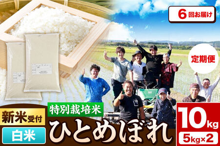 《新米予約》《定期便6ヶ月》令和8年産【白米】特別栽培米 ひとめぼれ 10kg（5kg×2袋）秋田県産 [ひとめぼれ 米 お米 白米 精米 特別栽培米 ブランド米 食卓 秋田県産 秋田県 由利本荘市]