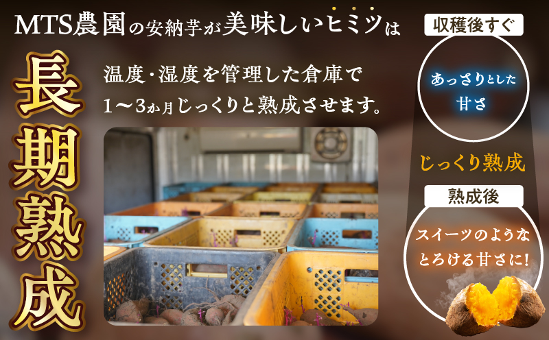 先行予約≪期間限定≫都農町産安納芋(計5kg) 野菜 芋 イモ 国産_T016-0011