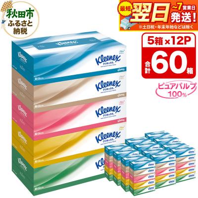 ふるさと納税 秋田市 クリネックス ティシュー 60箱 ティッシュ|15_nsc-031201