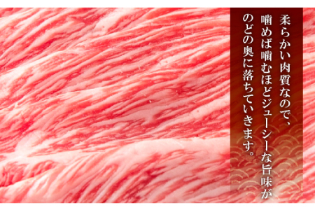 奥出雲和牛赤身焼肉300g 【焼肉 焼き肉 赤身 牛肉 冷蔵 黒毛和牛 300g】