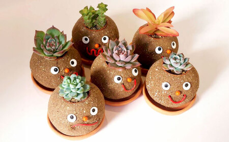 つちだくん2個セット 【花のひより園】 多肉 ポット セット[AEAX003]