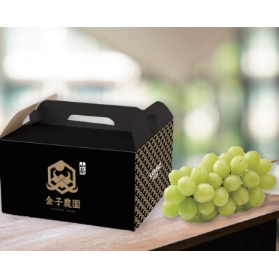 【本場山梨誇る】高糖度×大粒が織りなす甲州戦国シャインマスカットプレミアム2025年9月下旬より発送【配送不可地域：離島】