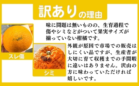 ご家庭用 【先行受付】後藤農園 不知火 5kg 訳あり 熊本県 南関町 フルーツ 果物 くだもの 柑橘