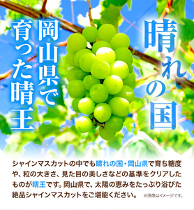 H-29　岡山県産シャインマスカット（晴王）（1房580g以上　2房入り）（令和6年産先行受付）【配送不可地域あり】 ｜ シャインマスカットマスカットぶどう葡萄シャインマスカットマスカットぶどう葡萄シ