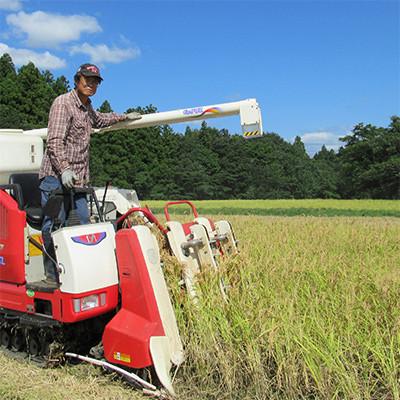 ふるさと納税 上越市 【2ヵ月毎定期便】標高200mで育てた棚田米|中郷産従来種コシヒカリ精米10kg(5kg×2)全6回 |  | 02