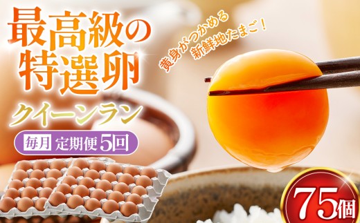【毎月定期便】黄身がつかめる新鮮地たまご クイーンラン 赤玉 75個入り全5回 ／ 卵 毎月発送 定期便 新鮮卵 卵かけご飯 TKG 濃厚卵 黄身 弾力卵 生卵 卵料理 大容量 卵まとめ買い 新鮮食材 朝食食材 料理食材 家庭用卵 No.594