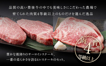 【おおいた和牛】サーロイン・ヒレステーキ（各2枚・計4枚）｜ 肉質4等級以上 こだわりの逸品 【お肉 牛肉 肉 にく 牛 おおいわ和牛 サーロイン ステーキ ヒレ フィレステーキ ヒレ肉 お取り寄せ 
