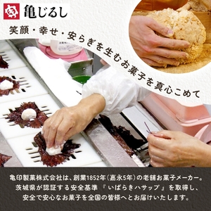 ふわふわクリーミー生大福プレーン 6個入り 2箱【大福 和菓子 生大福 スイーツ クリーム アイス おやつ 手土産 お取り寄せ ギフト グルメ 贈答 冷凍 亀印製菓 茨城県 水戸市】（MP-6)