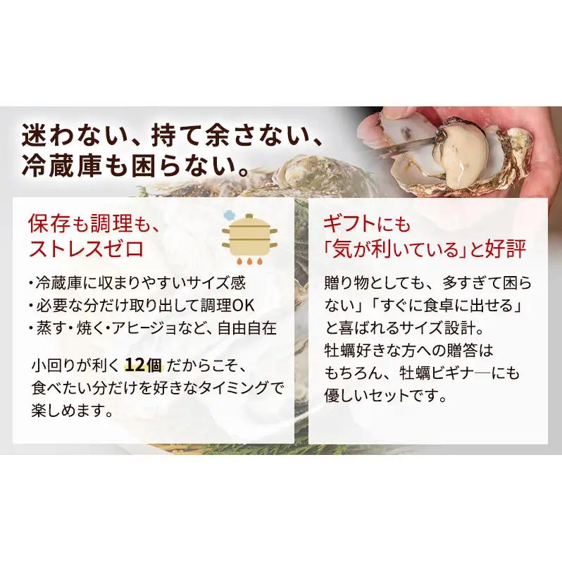 【 3ヵ月 定期便 】 北海道厚岸産 生食用 殻付カキ 3Lサイズ  12個　マルえもん 魚貝類 海の幸 海のミルク 海鮮 国産 北海道産 オイスター つまみ お酒 あて 肴 生牡蠣 メルマガ掲載商品