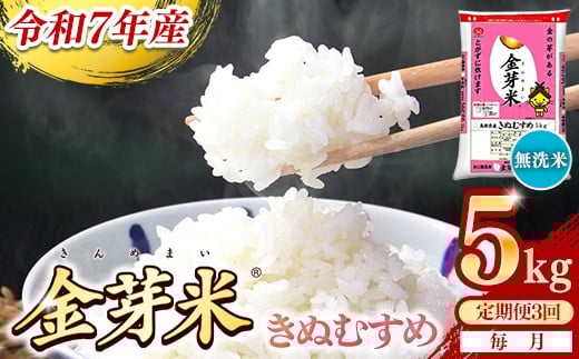 
                  【定期便】BG無洗米・金芽米きぬむすめ 5kg×3ヵ月 （毎月）【令和7年産 3ヶ月 時短 健康 米 BG 無洗米 計15kg 島根県産 新生活応援 お試し 節水 時短 アウトドア キャンプ 東洋ライス 健康 島根県 安来市】【価格改定XA】
                