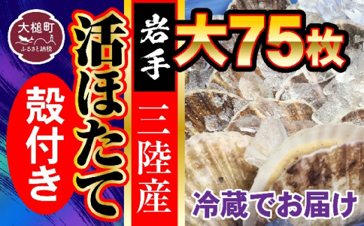 
■朝獲れ 三陸 活 ホタテ セット ( 大 75枚 ) 生食用
