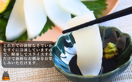 徳之島の漁師が荒波で釣り上げたそでいか 冷凍お刺身用小分け柵 1kg（約10人前） （ ソデイカ いか イカ 大型のいか 回遊 お刺身 甘い ねっとり 冷凍 新鮮 お寿司 料理 徳之島 奄美 沖縄 鹿