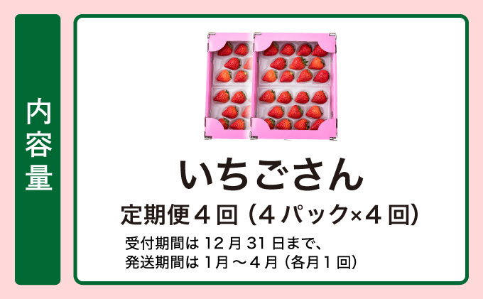 【先行予約】数量限定！佐賀県人気No.1苺”いちごさん” 4回定期便 （1回 235g×4p 約1kg）G-258-KN_イメージ4