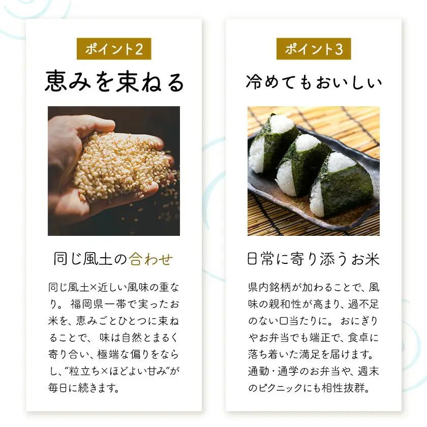 ふくおかみのり米 10kg 白米 《1-14日以内に出荷予定(土日祝除く)》 お米 ごはん ご飯 rice kome