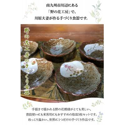 ふるさと納税 南九州市 野の花工房　手びねり取皿5枚 |  | 01