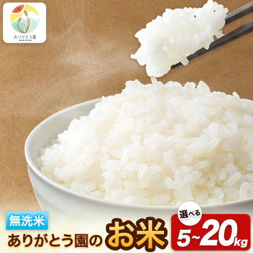 【ふるさと納税】 令和7年産 米 岡山県産 ありがとう園のお米 無洗米 選べる内容量 5kg 10kg 15kg 20kg ありがとう園《30日以内に出荷予定(土日祝除く)》岡山県 矢掛町 無洗米 米 コメ ご飯 きぬむすめ ひのひかり