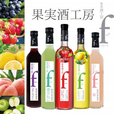ふるさと納税 甲州市 シャトー勝沼 果実酒工房fruu 5本セット　B15-701