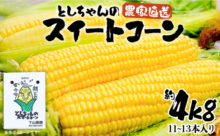 
【2025年6月以降発送分予約】下山農園 としちゃん の 農家直送 スイートコーン 約 4kg (11～13本入り)【豊前市】とうもろこし 野菜 BBQ [VBH001]
