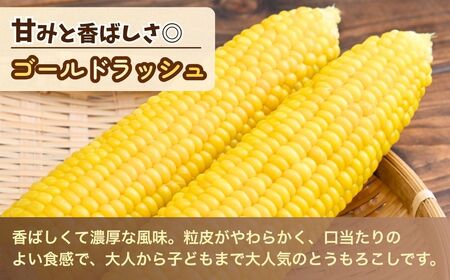 とうもろこし ゴールドラッシュ ピュアホワイト 食べ比べ 6本 | とうもろこし とうもろこし とうもろこし とうもろこし とうもろこし