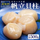 【ふるさと納税】オホーツク産 冷凍帆立貝柱 500g ( 大きい ほたて ホタテ 貝 500グラム 魚介類 貝類 刺身 )