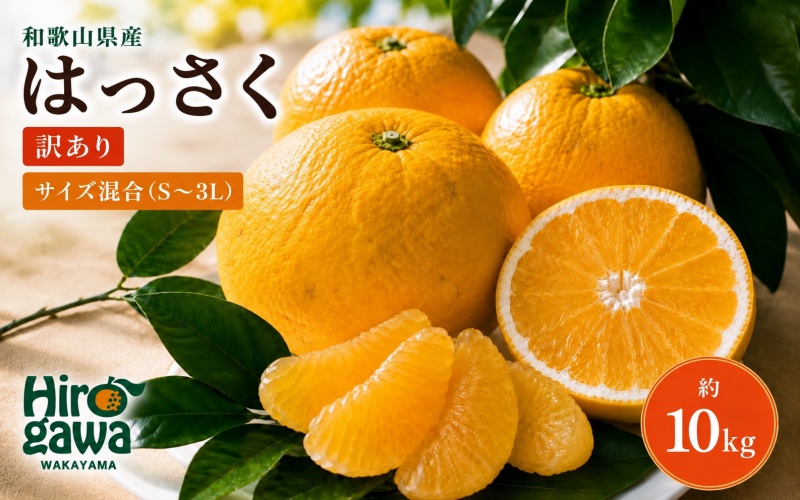 和歌山広川町産 はっさく 約10kg サイズ混合 【訳あり ご家庭用 キズあり】【SL39】※2027年2月下旬～4月中旬に順次発送【sml022-c-10】