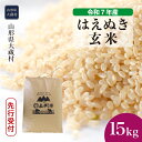 【ふるさと納税】＜令和7年産米先行受付＞ 大蔵村 はえぬき ＜玄米＞ 15kg（15kg×1袋）