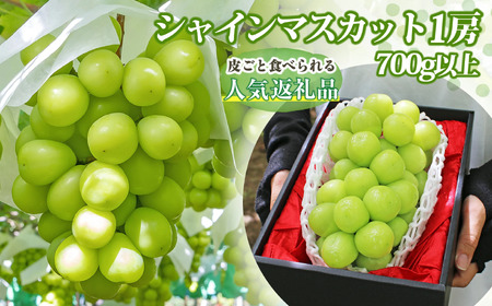 【2026年発送★先行予約】山梨県産 大房 シャインマスカット1房（700g以上） 180-001