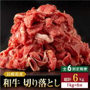 【ふるさと納税】【全6回定期便】長崎県産 和牛 切り落とし 1kg(500g×2パック) 【合同会社肉のマルシン】[QBN038]